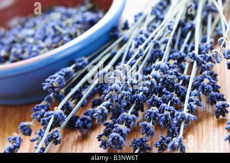 Jede Menge getrockneter Lavendel Kräuter und Lavendelblüten in eine Schüssel geben Stockfoto