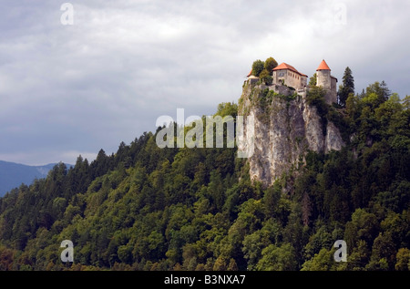 Bled Burg auf der Klippe. Stockfoto