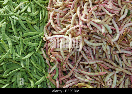 Grüne Bohnen und Cranberry Borlotti Bohnen in Hülsen angezeigt auf Dienstag Markt in Fethiye. Provinz Mugla, Türkei. Stockfoto