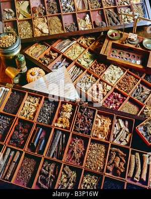HOLZKISTEN MIT VERSCHIEDENEN GETROCKNETEN KRÄUTERN IN EINEM ALTEN KRÄUTERLADEN FRANCE EUROPE Stockfoto