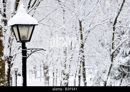 Winter Park mit frischen weißen Schnee bedeckt Stockfoto