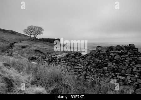 Trockenmauer am Top Withens, in der Nähe von Haworth.  Top Withens wird gedacht, um Emily Brontes Wuthering Heights Roman inspiriert haben. Stockfoto