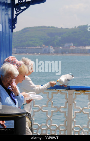 Vier weibliche Rentner, Essen zum Mitnehmen Fish &amp; Chips auf Llandudno Pier in Nord-Wales an einem sonnigen Tag Stockfoto