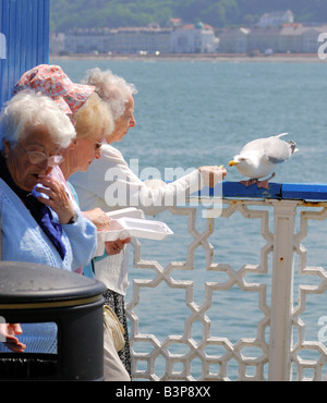 Vier weibliche Rentner, Essen zum Mitnehmen Fish &amp; Chips auf Llandudno Pier in Nord-Wales an einem sonnigen Tag Stockfoto