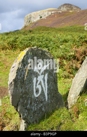 Das erste Symbol der buddhistischen Mantra Om Mani Padme Hum, Holy Island, Isle of Arran, North Ayrshire, Schottland, Großbritannien. Stockfoto