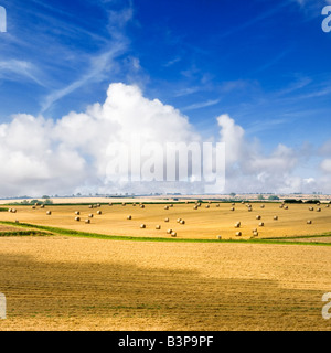 Englische Landschaft UK-Heuballen und sanften Hügeln des Lincolnshire Wolds, England Stockfoto
