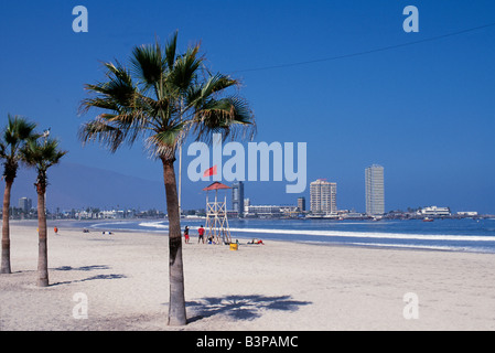 Chile, Region 1, Iquique. Playa Cavancha, die meisten im Zentrum von Iquique die Stadtstrände. Stockfoto