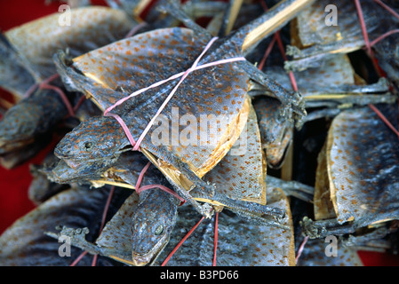 China, Hong Kong, Cheung Chau. Getrocknete Eidechsen sind eine der vielen exotischen Lebensmitteln im Angebot in den Geschäften am Wasser Stockfoto