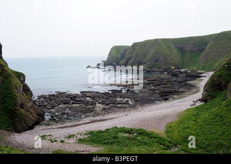 Panoramablick auf die Steilküste rund um Dunnottar Castle bei Stonehaven in der Nähe von Aberdeen, Schottland, Vereinigtes Königreich, Europa Stockfoto