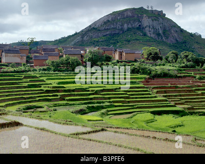 Madagaskar, Southern Highlands, Reisfelder in der Nähe von einem kleinen Dorf in der Nähe von Fianarantsoa. Reis ist das Grundnahrungsmittel des madagassischen Volkes. Die Betsileo Stamm der Southern Highlands bauen bunte Doppel-geschossige Häuser aus Ziegelsteinen, von die viele hölzerne Balkone haben. Sie sind fleißige Menschen und Experten Reisbauern. Die terrassenförmig angelegten, bewässerten Reisfeldern sind ein Merkmal der Landschaft. Stockfoto