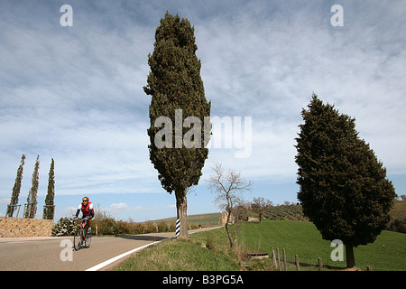 Landschaft, Localit Montecucco, Cinigiano, Monte Amiata Gebiet, Toskana, Italien Stockfoto