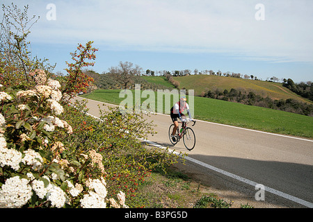 Landschaft, Localit Montecucco, Cinigiano, Monte Amiata Gebiet, Toskana, Italien Stockfoto