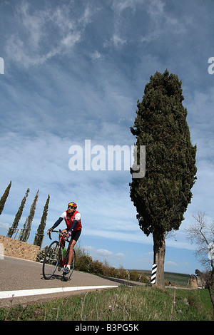 Landschaft, Localit Montecucco, Cinigiano, Monte Amiata Gebiet, Toskana, Italien Stockfoto