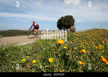 Landschaft, Localit Montecucco, Cinigiano, Monte Amiata Gebiet, Toskana, Italien Stockfoto