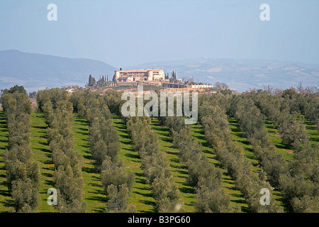 Landschaft, Localit Montecucco, Cinigiano, Monte Amiata Gebiet, Toskana, Italien Stockfoto