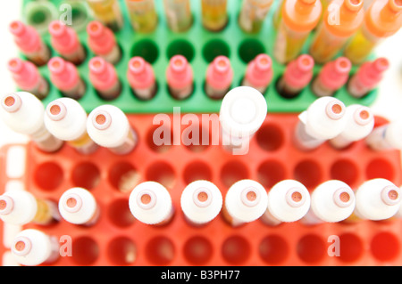 Stände mit Röhren des Blutes im Labor Stockfoto