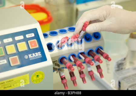 Geben Sie einen sterilen Handschuh Platzierung einer Röhre des Blutes in einem Mixer in einem Labor Stockfoto