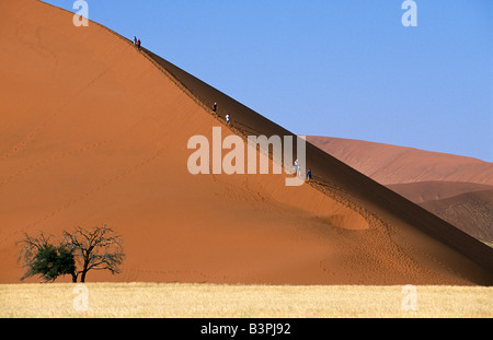 Sanddüne 49, Sossusvlei, Namib-Naukluft-Nationalpark, Namibia, Afrika Stockfoto