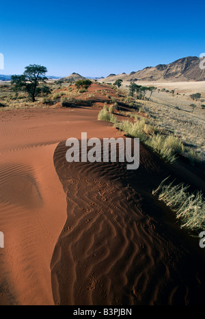 Sanddünen, Tok Tokkie Trail, NamibRand Nature Reserve, Namibia, Afrika Stockfoto