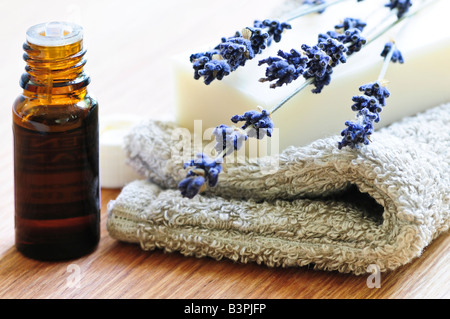 Natürliche Aromatherapie Seife mit getrockneten Lavendel und ätherisches Öl Stockfoto