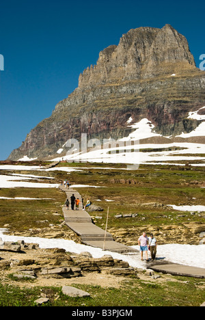 Besucher auf den Hidden Lake Trail in Glacier Nationalpark Stockfoto