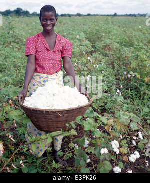 Südliche Malawi Malawi, Shire-Tal. Eine Frau Baumwollfeldern in tiefliegenden Shire Tal der südlichen Malawi. Stockfoto