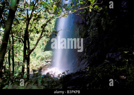 Wasserfällen werfen am Wald, Anse des Cascades, Reunion Island, Indischer Ozean, Afrika Stockfoto