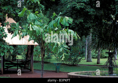 Jardin de L'Etat Botanischer Garten, Saint-Denis, Reunion Island, Indischer Ozean, Afrika Stockfoto