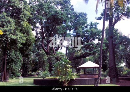 Jardin de L'Etat Botanischer Garten, Saint-Denis, Reunion Island, Indischer Ozean, Afrika Stockfoto