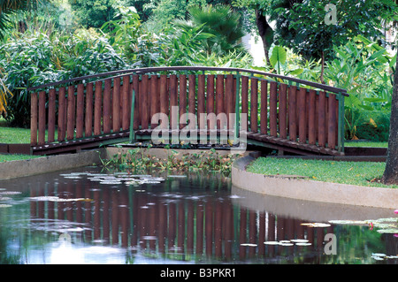 Jardin de L'Etat Botanischer Garten, Saint-Denis, Reunion Island, Indischer Ozean, Afrika Stockfoto