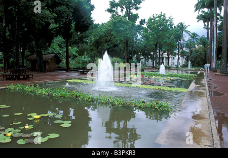 Jardin de L'Etat Botanischer Garten, Saint-Denis, Reunion Island, Indischer Ozean, Afrika Stockfoto