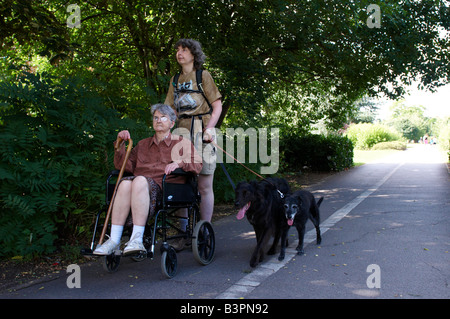 Frau drängen Mutter im Rollstuhl sitzen, während zwei Hunde zu Fuß Stockfoto