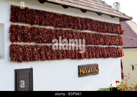 Eine ungarische Haus in roten Chilischoten Tihany Ungarn abgedeckt Stockfoto