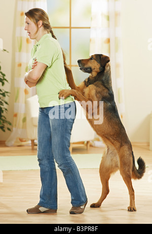 halbe Rasse Hund mit Frau / Stockfoto