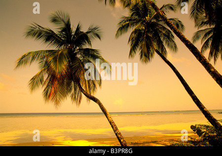 Palmen lehnen über das ruhig ruhig karibische Meer in der Nähe von Sonnenuntergang am Pigeon Point, Tobago, ideale tropische Insel landschaftlich Stockfoto