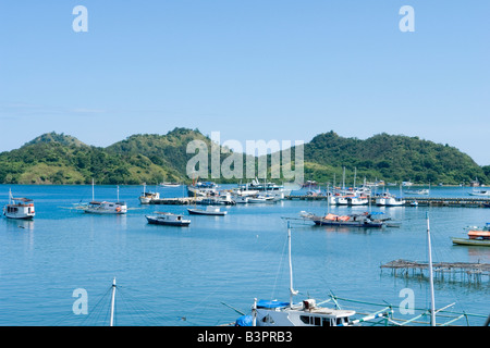 Verankerte Boote in der Bucht von Labuanbajo (Flores - Indonesien). Bateaux Ancrés Dans La Baie de Labuanbajo (Florès - Indonésie). Stockfoto