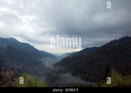 Nebel und Wolken schweben über der Great Smoky Mountains National Park, Tennessee, 8. Juli 2008 Stockfoto