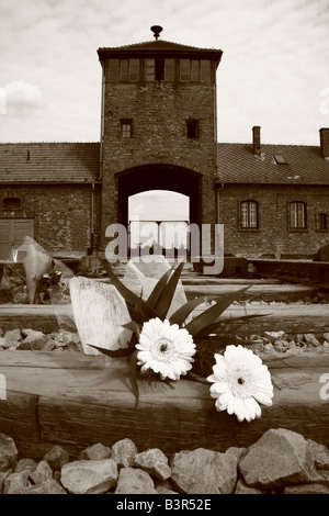 Floral Tribute auf der Bahnstrecke am Hells Gate; der Haupteingang in das KZ Auschwitz-Birkenau, nr. Krakau, Polen Stockfoto