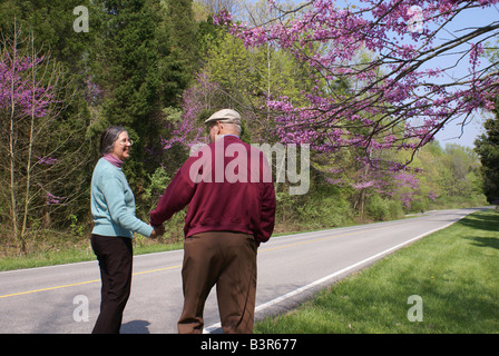 Frühlings-Spaziergang Stockfoto