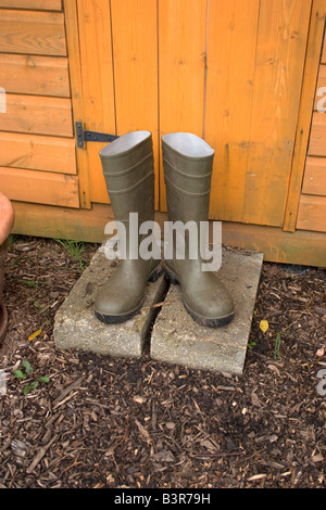 Schmutzigen Gummistiefel auf Schuppen Schritt, grüne Gummistiefel auf die Zuteilung Stockfoto