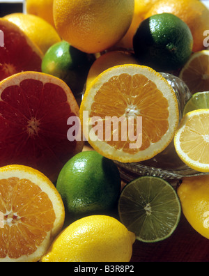 Orangen-Zitronen-Limetten und Grapefruit Richard B Levine Stockfoto