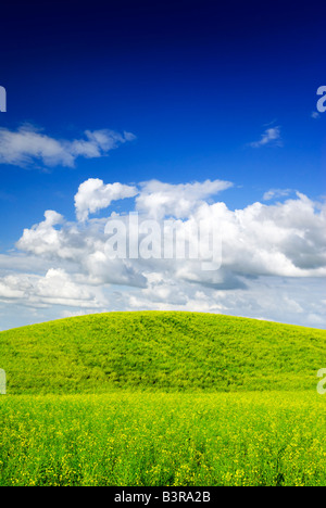 Sommerlandschaft - gesättigten Blick auf Wiese. Europa, Polen. Adobe RGB (1998). Stockfoto