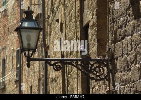 An der Wand in der Stadt Volterra Toskana Italien Stockfoto