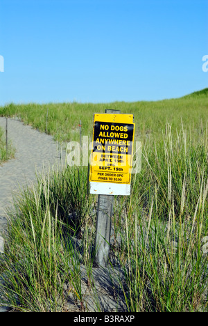 Warnung Verbotsschild Hund zu Fuß am Strand, Cape Cod National Seashore, Nauset Beach, Cape Cod, MA, USA Stockfoto