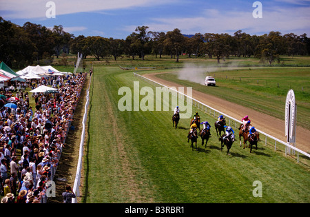 Land-Pferderennen, Australien Stockfoto