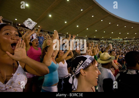 Einheimische und Touristen erfreuen wie ein bei einem Fußballspiel im Maracana Stadion in Rio zwischen Vasco und Fluminense Tor. Stockfoto