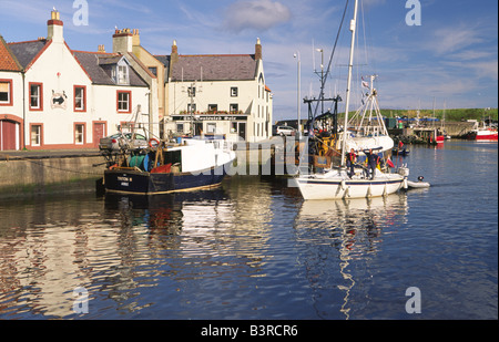 Yacht in Hafen Liegeplatz kommen auf einer ruhigen noch morgen im malerischen Eyemouth Hafen Berwickshire schottischen Grenzen Scotland UK Stockfoto