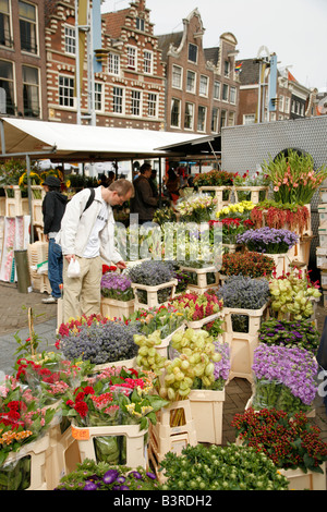 Blumenmarkt, Amsterdam, Niederlande Stockfoto