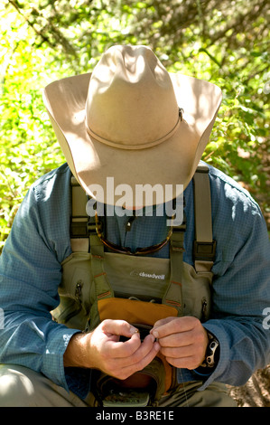 Ortsansässiger Fliege Fischen für Forelle auf Gore Creek, Vail, Colorado im August. Stockfoto