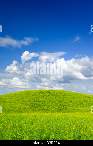 Sommerlandschaft - gesättigten Blick auf Wiese. Europa, Polen. Adobe RGB (1998). Stockfoto